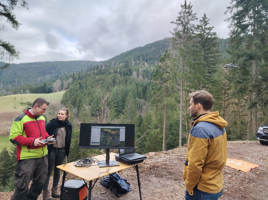 Exkursion mit Teilnehmenden im Wald