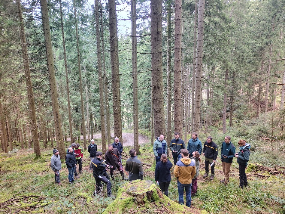 Demonstration im Wald während des fünften Projekttreffens