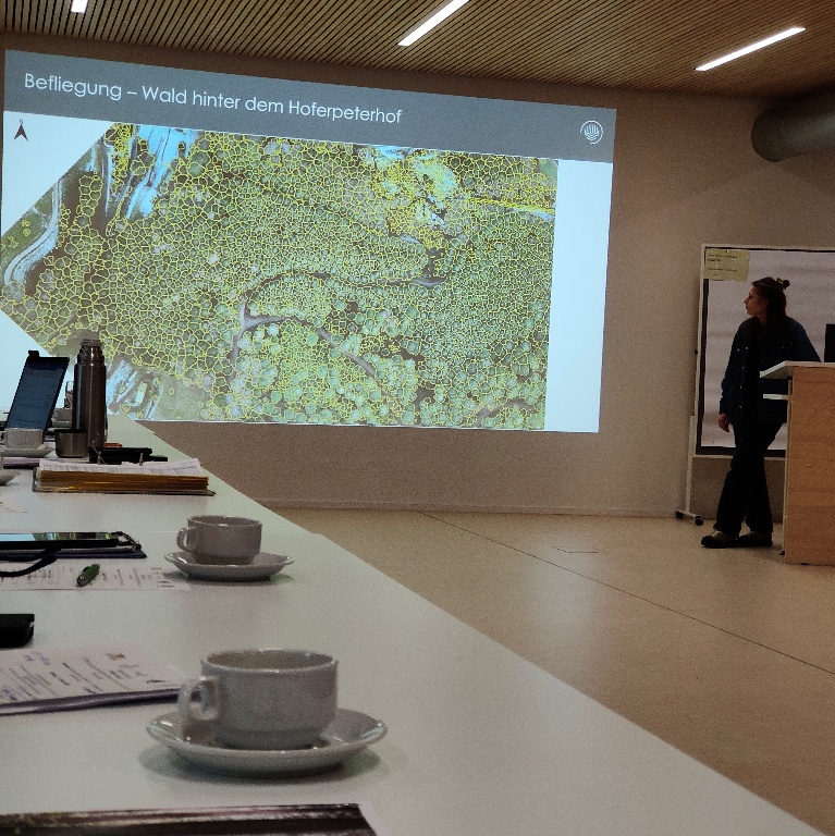 Ergebnisse aus der Szenarioarbeit