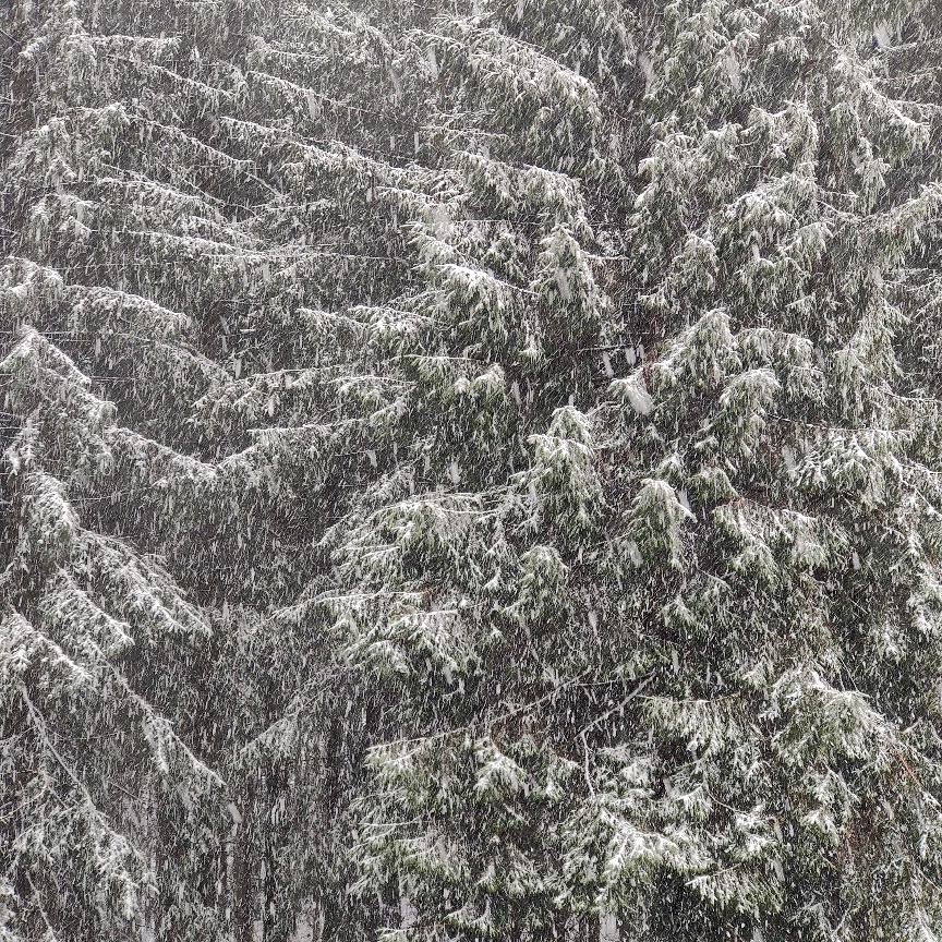 Thementisch mit Arbeitsmaterialien