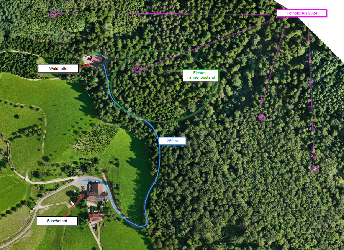 Karte des Waldgebiets mit markierten Totholzflächen und Monitoring-Route